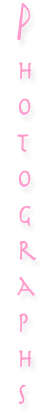 Photographs